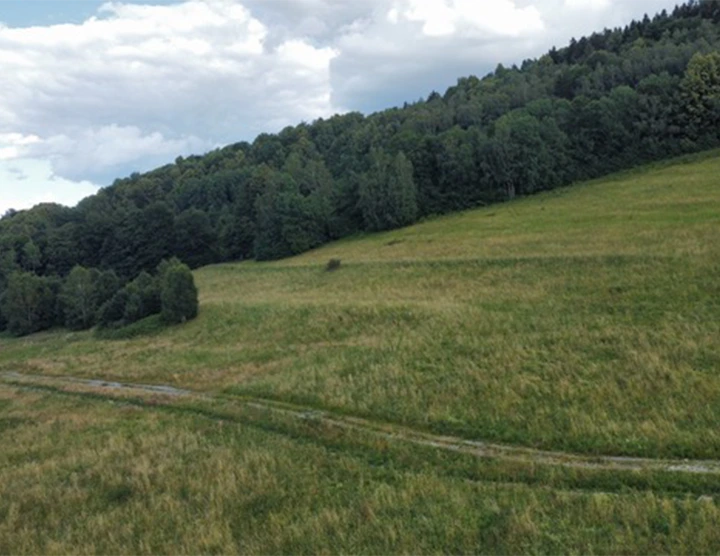 Nowa Bystrzyca 10