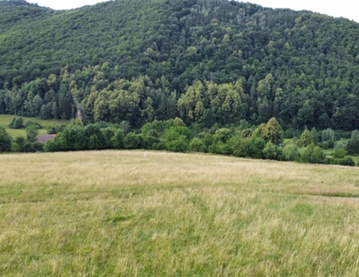 Nowa Bystrzyca 7