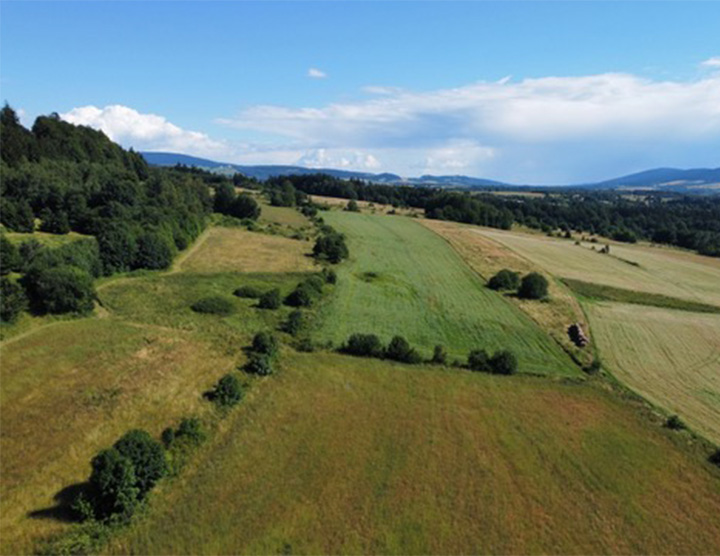 Miedzygorze 4