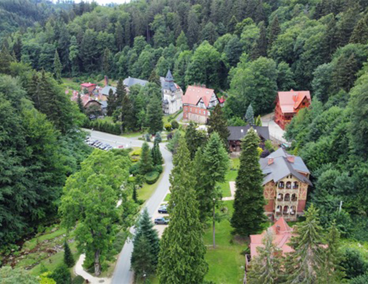 Miedzygorze