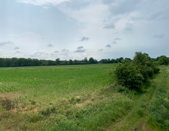 Szczepanów 4